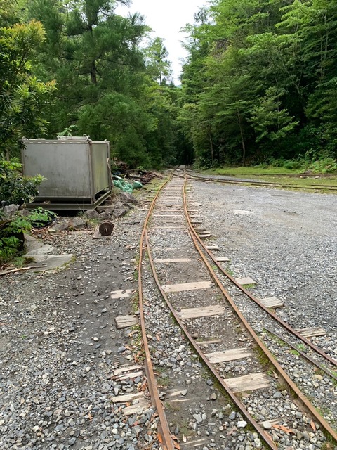 LINE_ALBUM_屋久島_240604_1