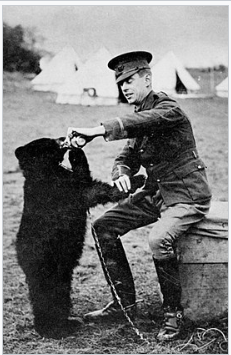 スクリーンショット 2023-08-09 120348