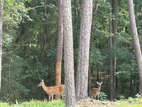 LINE_ALBUM_Hot Springs_250809_4