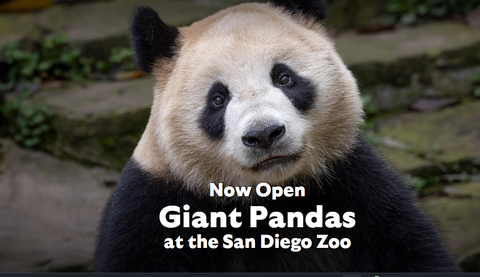 Screenshot 2025-12-17 150731