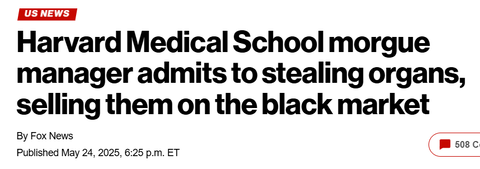 スクリーンショット 2025-05-28 175905