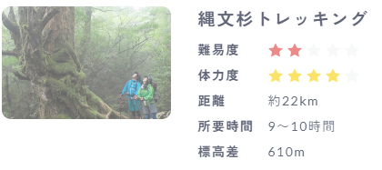 スクリーンショット 2024-06-02 155424