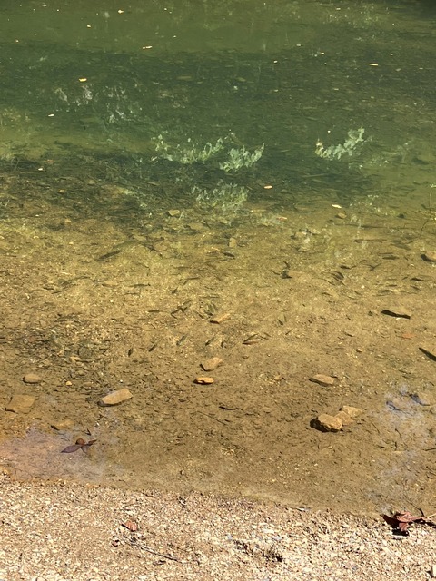 LINE_ALBUM_Hot Springs_250811_5