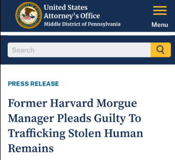 スクリーンショット 2025-05-28 174257