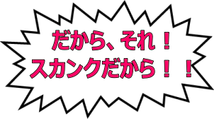 だからそえ