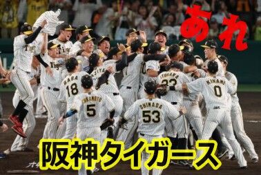 11_are239-jpp046422162