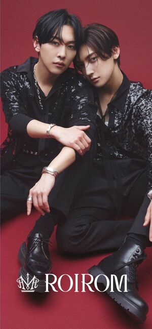 ROIROM1