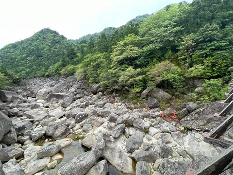 LINE_ALBUM_屋久島_240604_2
