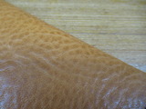 IMG_5581