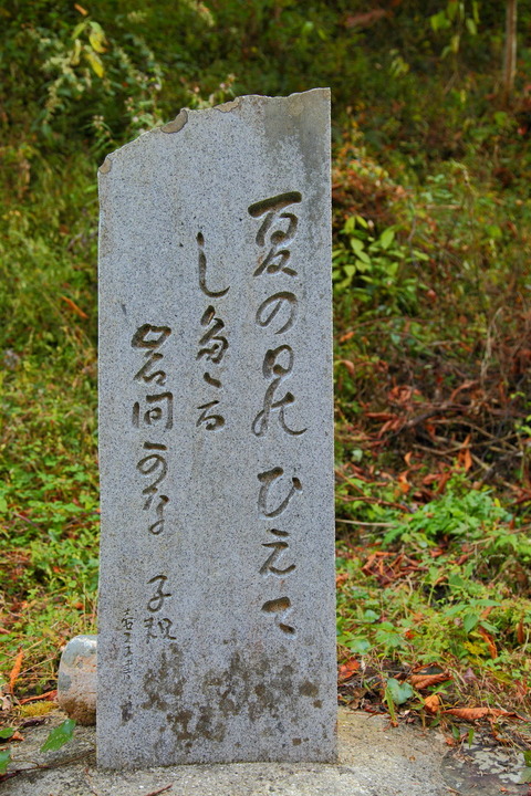 DPP_0763