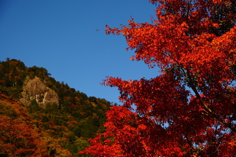 DPP_0758