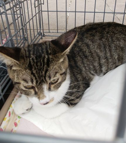 IMG_20190929_140901★