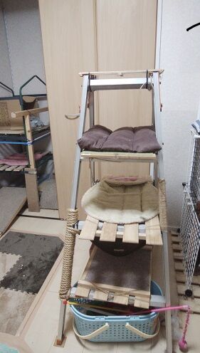 IMG_20200112_175622