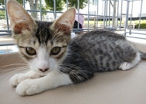 IMG_20190811_144548-2