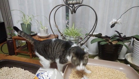 IMG_20200113_165432