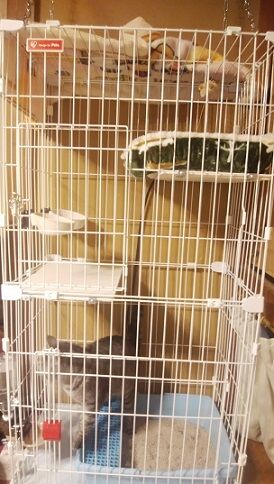 IMG_20191222_145724