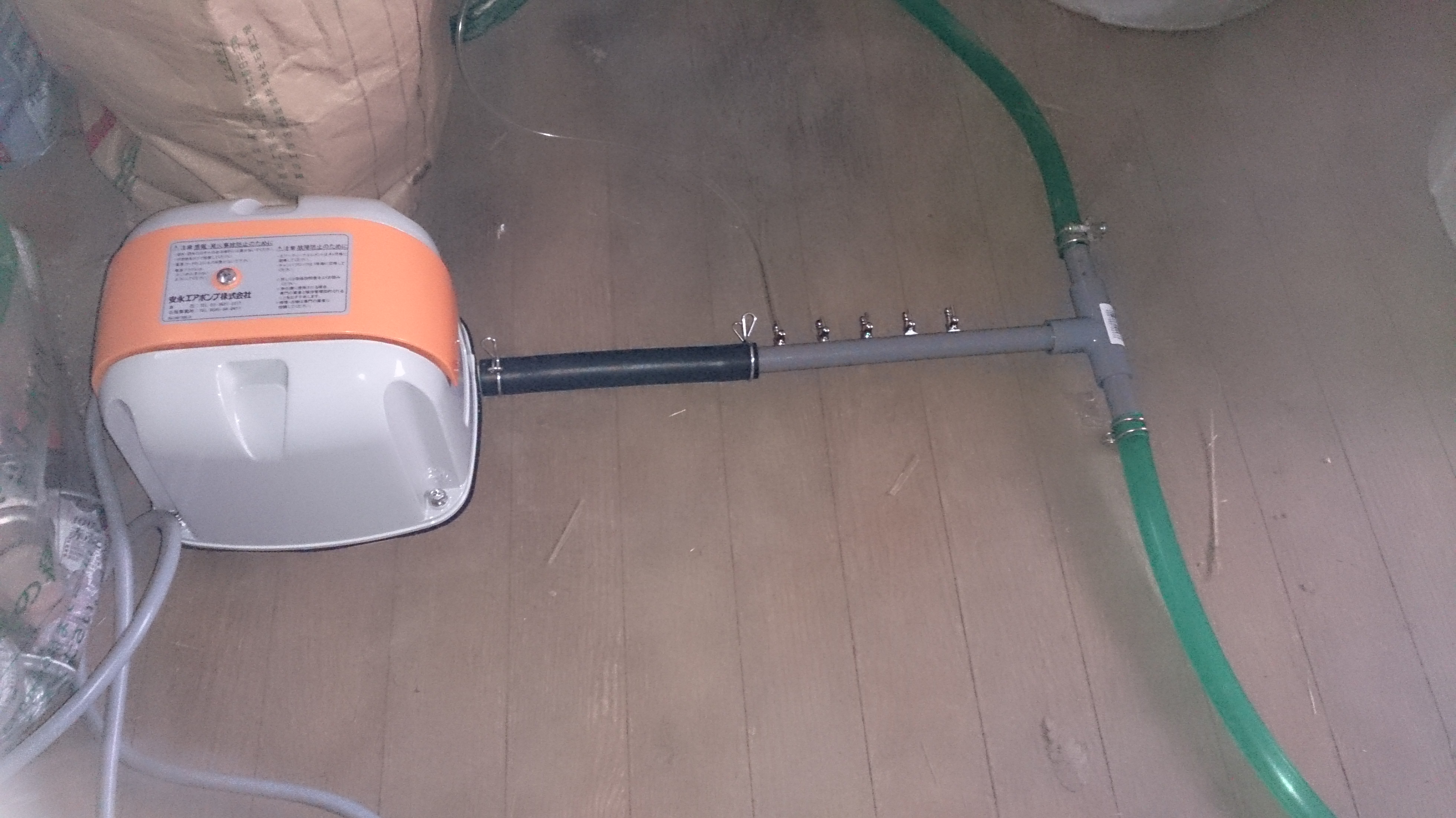 ブロア 茨城の金魚さん