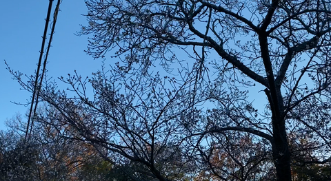 スクリーンショット 2026-01-20 1.13.28