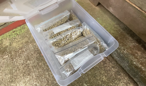 スクリーンショット 2025-10-31 22.24.50