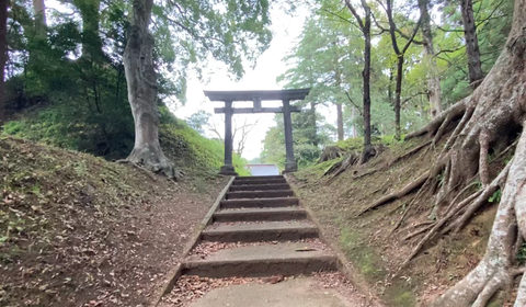 スクリーンショット 2025-11-16 23.15.13