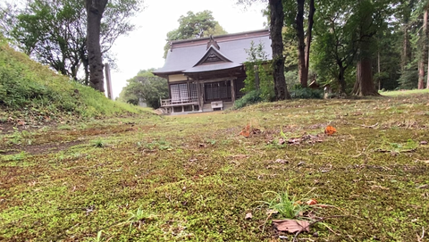 スクリーンショット 2025-11-16 23.14.50