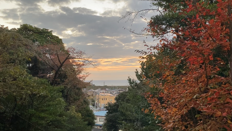 スクリーンショット 2025-11-30 23.04.57