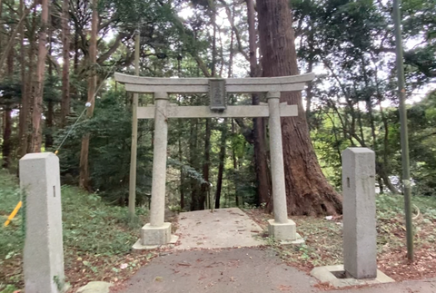 スクリーンショット 2025-10-31 22.24.15