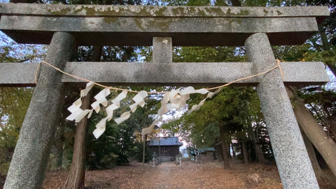 スクリーンショット 2025-11-30 23.03.37