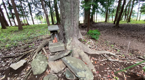 スクリーンショット 2025-05-31 21.03.31