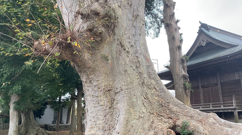 スクリーンショット 2025-09-17 16.57.57