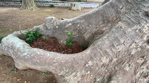 スクリーンショット 2025-09-17 16.57.39