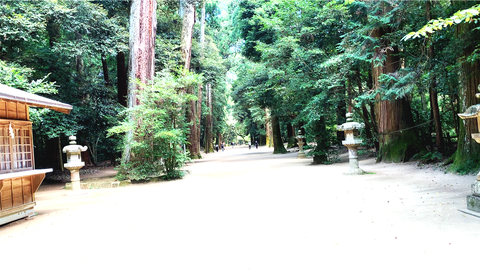 鹿島神宮参道