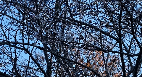 スクリーンショット 2026-01-20 1.12.56