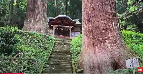 スクリーンショット 2025-02-16 23.10.26