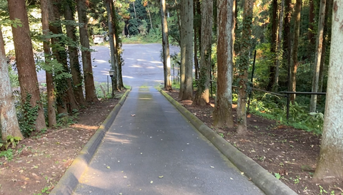 スクリーンショット 2025-11-16 23.15.43