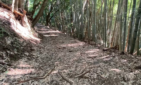 スクリーンショット 2025-09-29 16.16.28