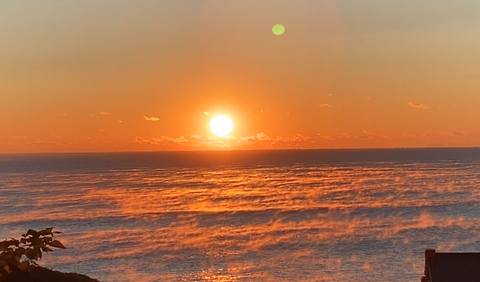 スクリーンショット 2025-12-11 0.10.03