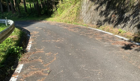 スクリーンショット 2025-09-29 16.07.29