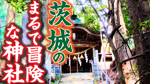 東金沙 サムネ 提案①