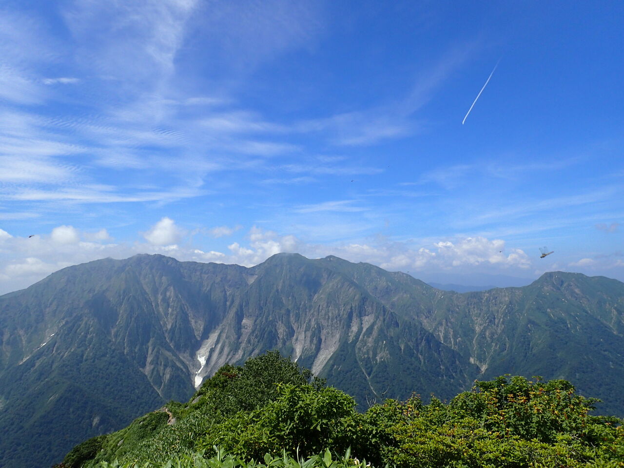 白毛門 激アツ夏山登山なれど 谷川連峰の絶景を堪能 ぷち登山