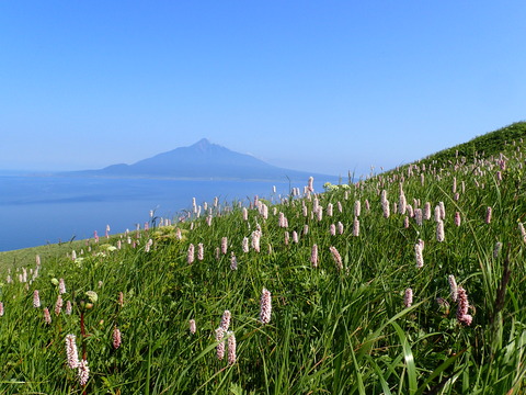 P7080768