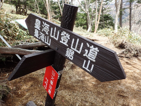 P5180141