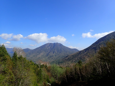 P6010030