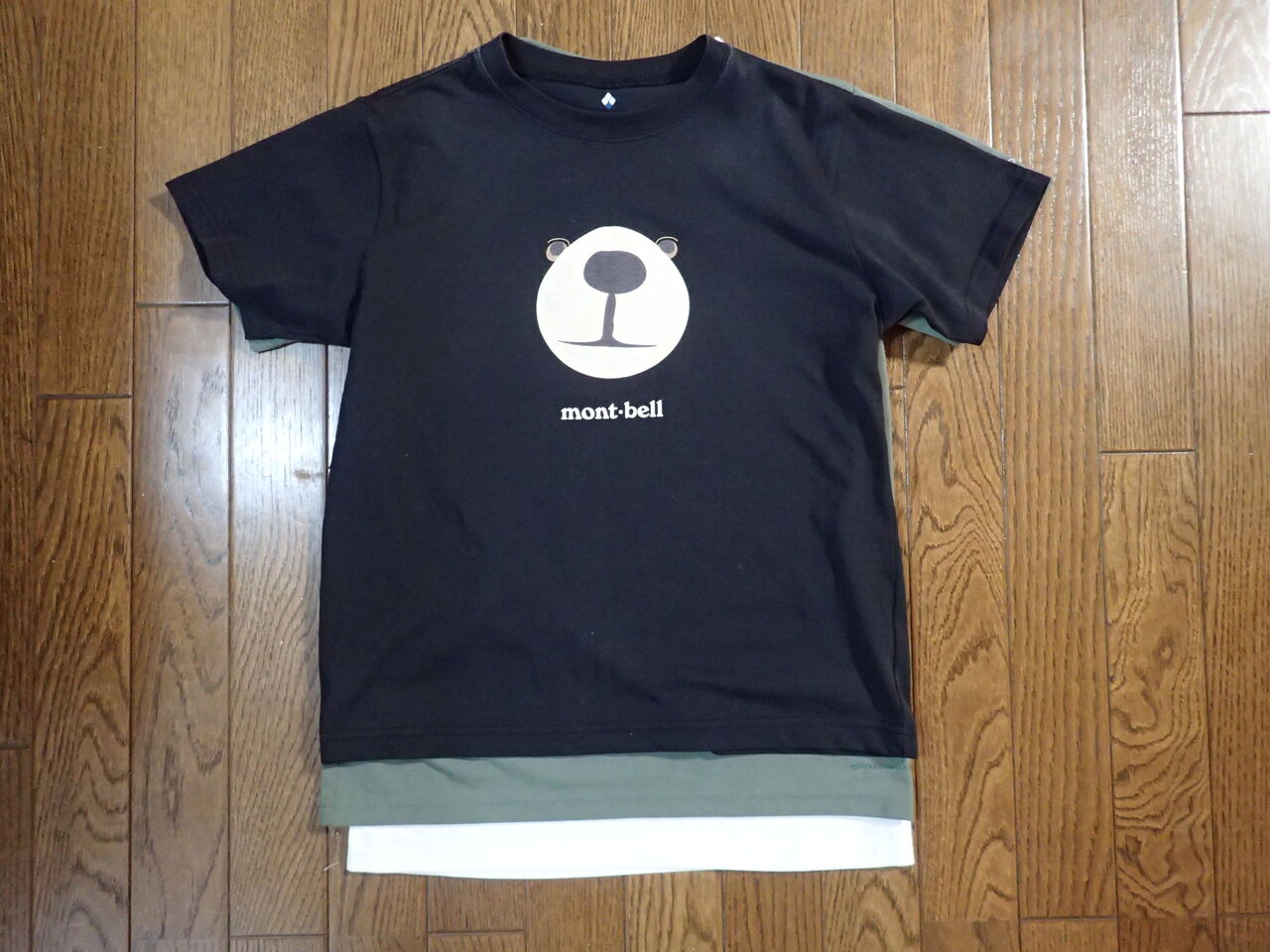 山用tシャツを ぷち登山 山用tシャツを ぷち登山