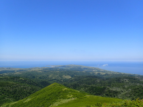 P7080703