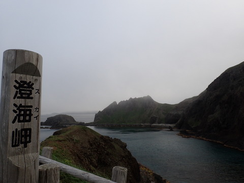 P7090908