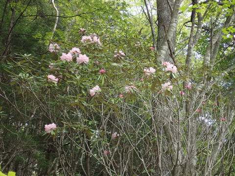 P6010198