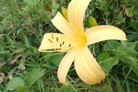 P7100055