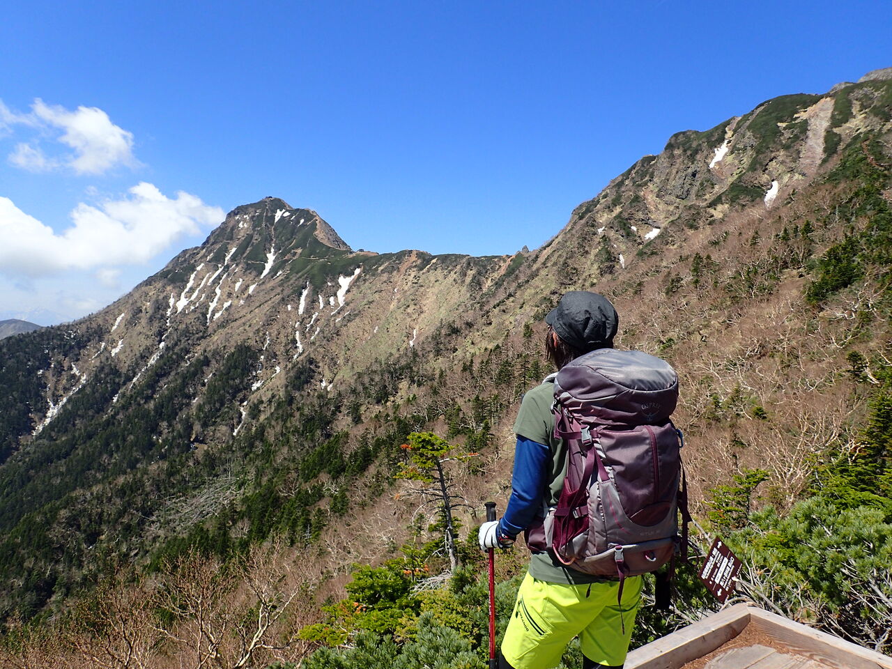 横岳 ツクモグサと八ヶ岳の大絶景v V ぷち登山