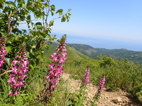 P7080711